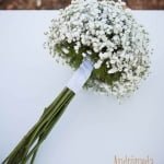 Ramo de novia de paniculata