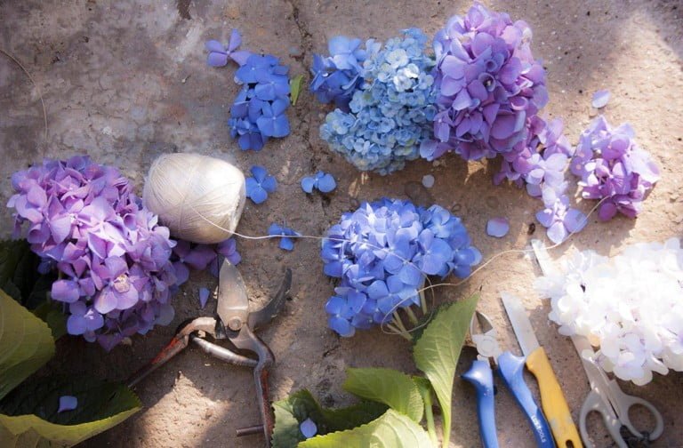floristeria creativa