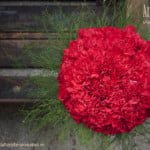 ramo novia de claveles rojos