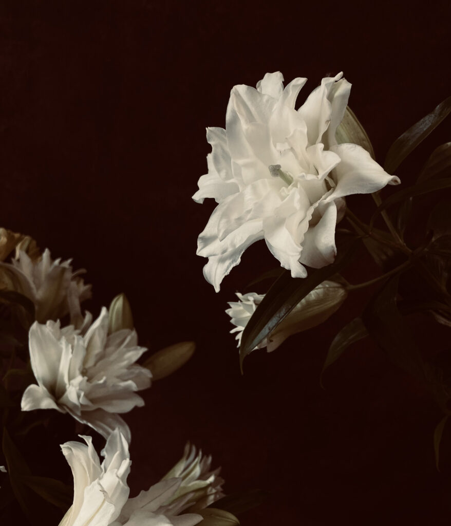 Diseño de bodas. FActa botanica
